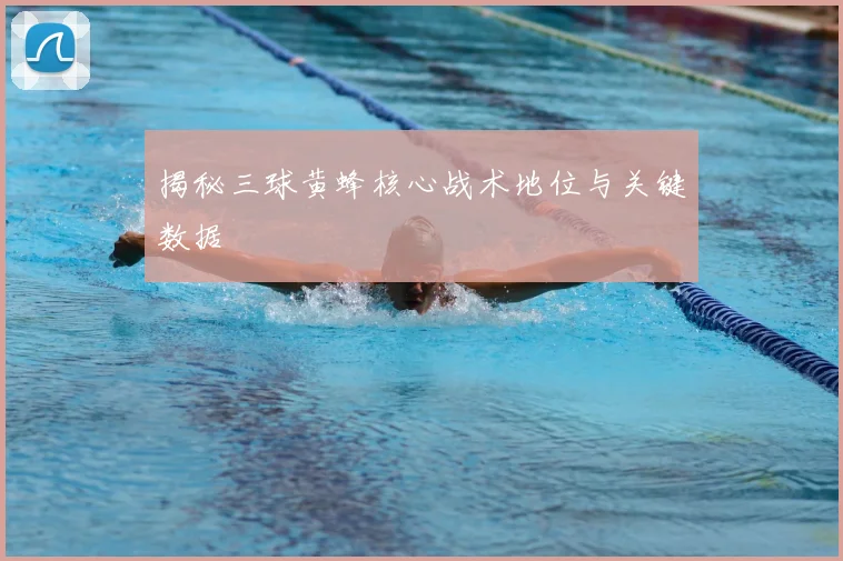 揭秘三球黄蜂核心战术地位与关键数据