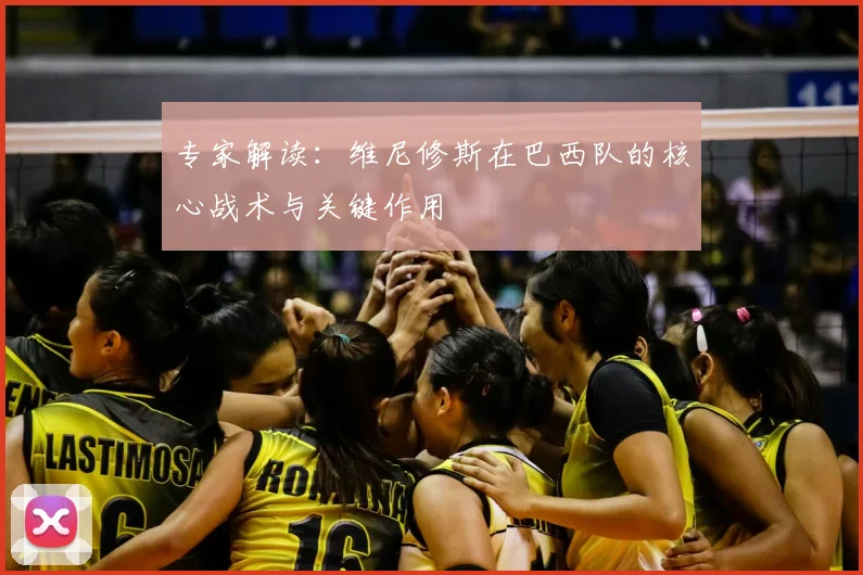 专家解读：维尼修斯在巴西队的核心战术与关键作用