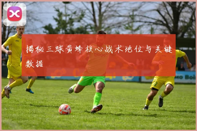 揭秘三球黄蜂核心战术地位与关键数据